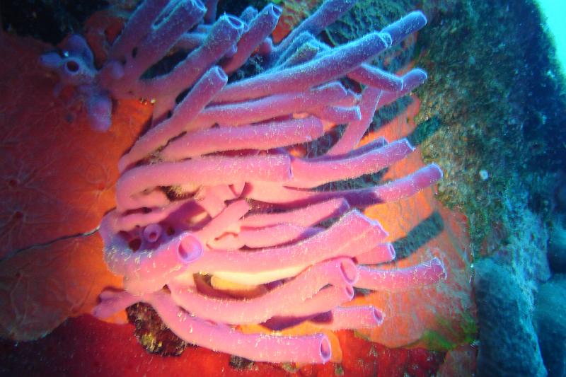 06 TR 024.JPG